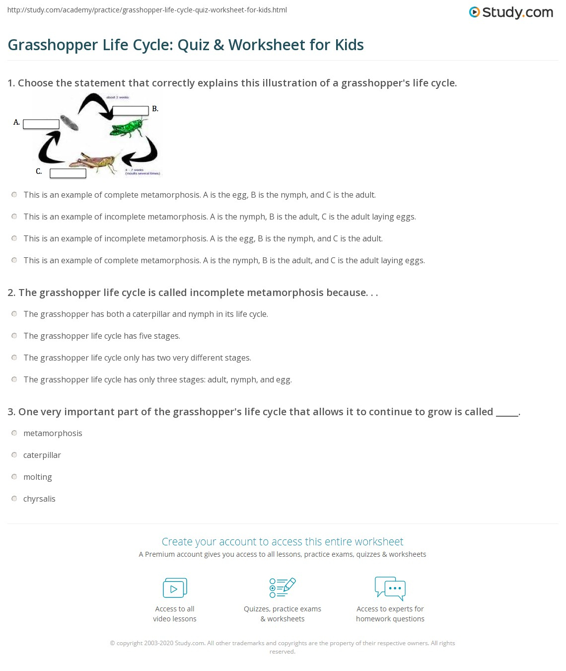 Grasshopper Life Cycle Quiz Worksheet For Kids Study