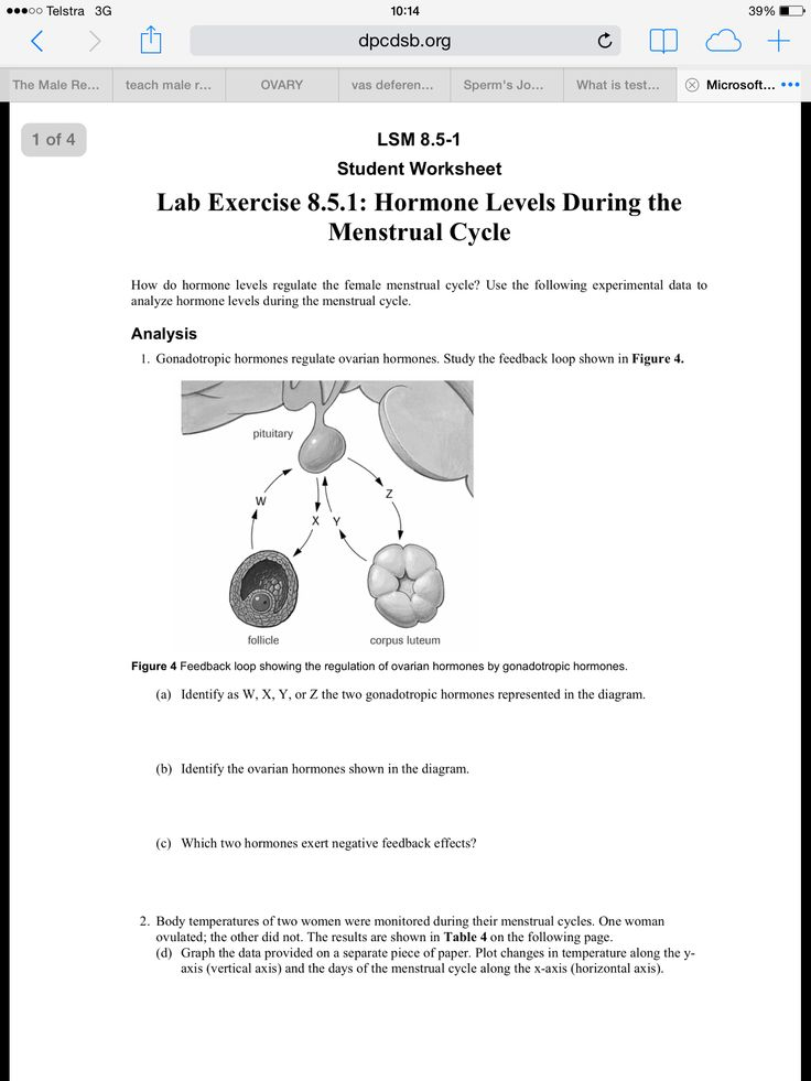 Great Detailed Worksheet For Revision Of Ovarian menstrual Hormone