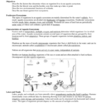 Headingsdesign Life Cycle Of A Star Worksheet Answers Section 6