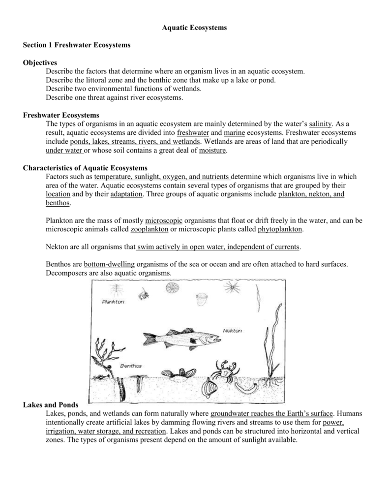 Headingsdesign Life Cycle Of A Star Worksheet Answers Section 6