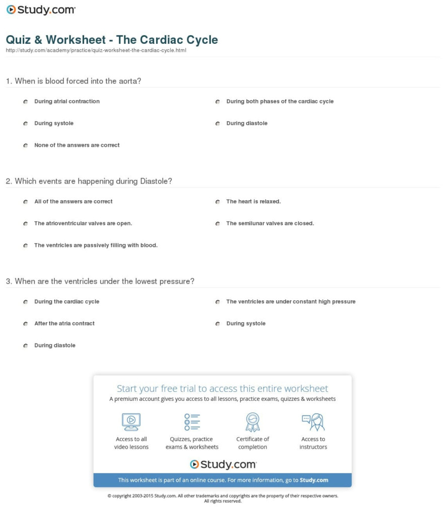 Heart Valves And The Cardiac Cycle Worksheet Answers Db excel