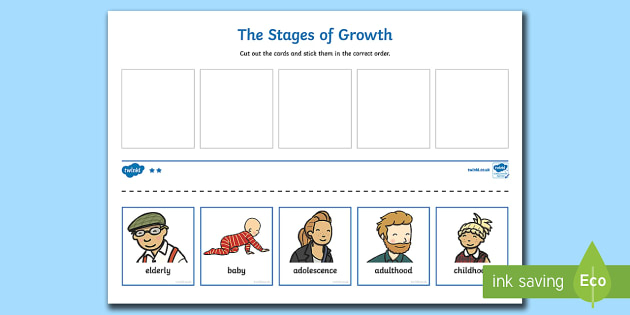 Human Cycle Cut And Stick Activity teacher Made 