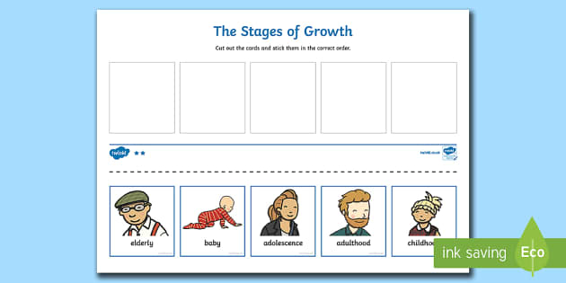 Human Life Cycle Cut And Stick Activity Human Stages Of Growth