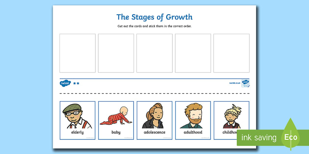 Human Stages Of Growth Cut And Paste Activity