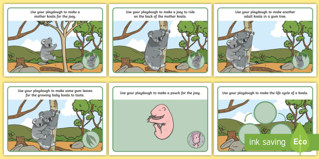 Koala Life Cycle Playdough Mats