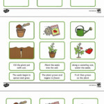 KS2 Plant Growth Sequencing Plant Lifecycle Printable Worksheet