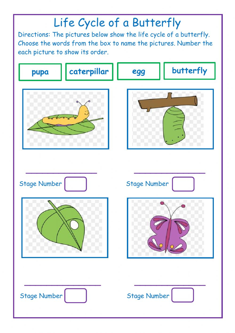 Life Cycle Of A Butterfly Interactive Worksheet