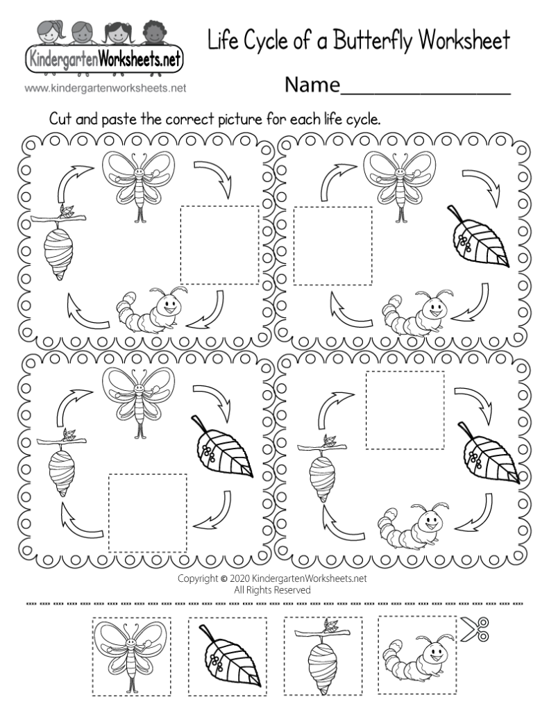 Life Cycle Of A Butterfly Worksheet Free Printable Digital PDF