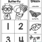 Life Cycle Of A Butterfly You Can Teach The Basic Concepts Of