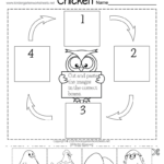 Life Cycle Of A Chicken Worksheet For Kindergarten Free Printable