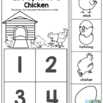 Life Cycle Of A Chicken Worksheet Google Search Life Cycles