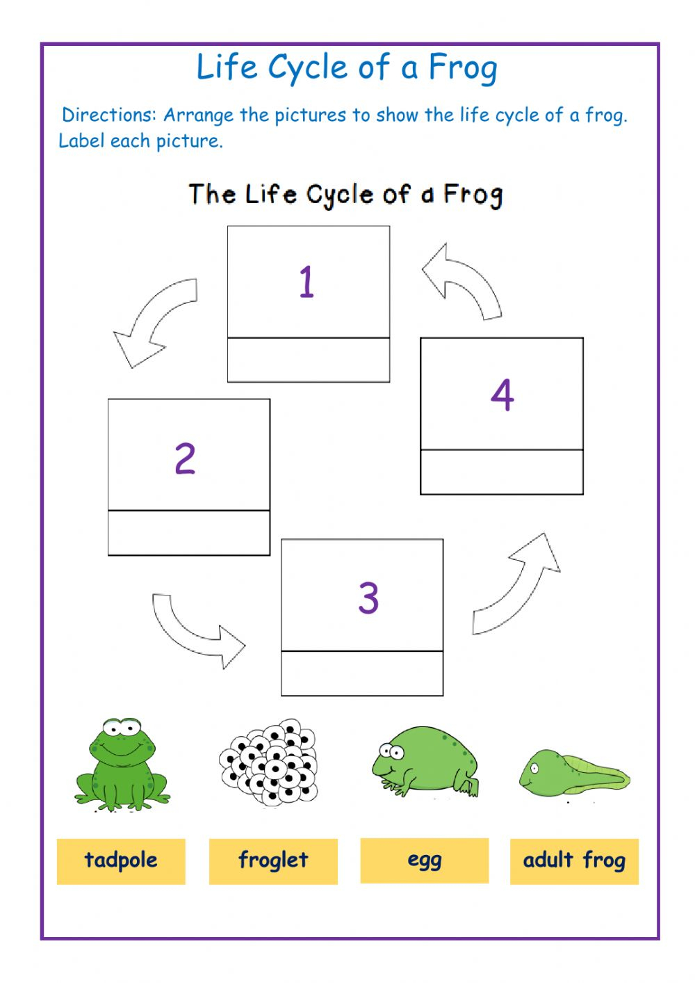 Life Cycle Of A Frog Online Exercise