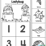 Life Cycle Of A Ladybug This One Is Sure To Be A Favorite Preschool