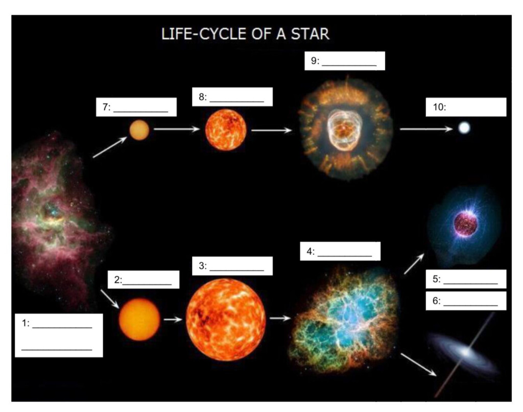Life Cycle Of A Star Worksheet Worksheet
