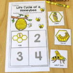 Life Cycle Of A Wasp For Kids Mice