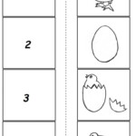 Life Cycle Of Chicken Tracing Worksheet Name Tracing Generator Free