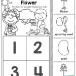 Life Cycle Of Plant Worksheet