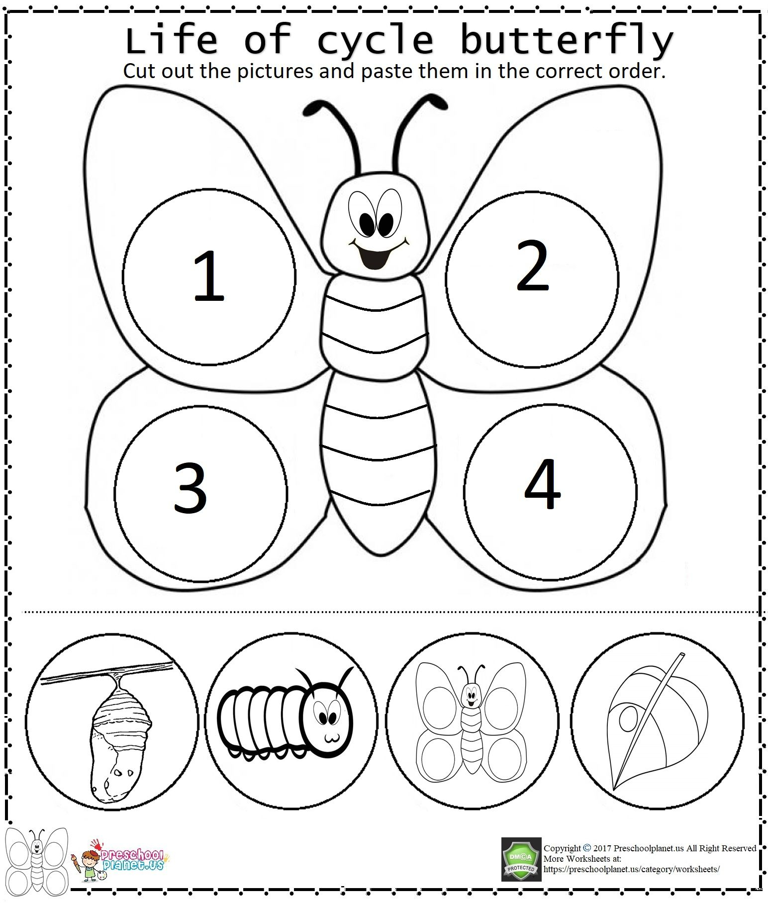 Life Of Cycle Butterfly Worksheet Butterfly Life Cycle Preschool