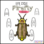 Lifecycle Of A Firefly Mini Unit Homeschool Printables For Free