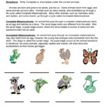 Luthfiannisahay 4th Grade Life Cycle Of Butterfly Worksheet