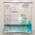 Make A Water Cycle In A Bag Water Cycle Science Experiments Science