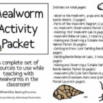 Mealworms In The Classroom Second Grade Science 4th Grade Science