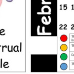 Menstrual Cycle Calendar Activity KS3 KS4 Reproduction Hormones