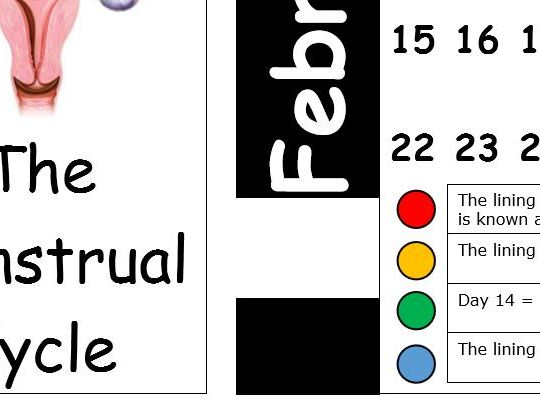 Menstrual Cycle Calendar Activity KS3 KS4 Reproduction Hormones 