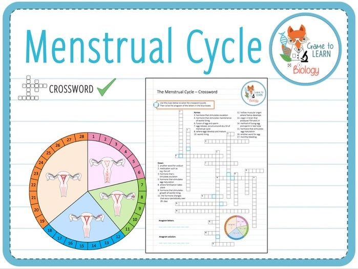 Menstrual Cycle Crossword KS3 4 Teaching Resources