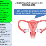 Menstrual Cycle Worksheet Ks3 Worksheet Template Free