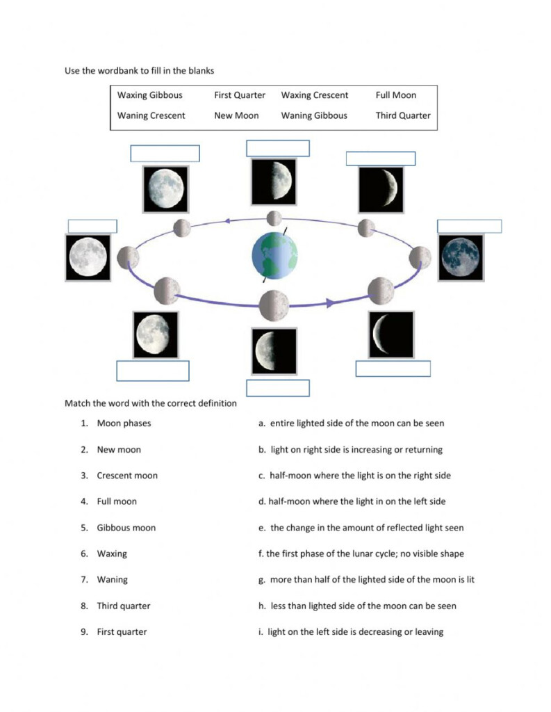 Moon Phases Online Exercise