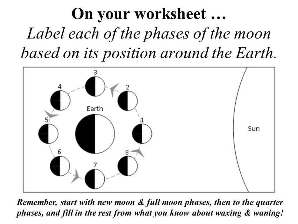 Moon Phases Worksheet Answers Adding And Subtracting Db excel