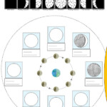 Moon Phases Worksheet Free ESL Printable Worksheets Made By Teachers