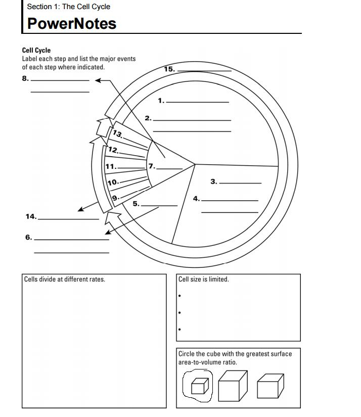 Mrs Cruz s Biology Class Chapter 5 Cell Growth And Division