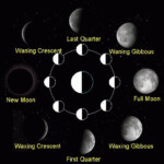 Ms Gatti s Science Blog Lunar Cycle