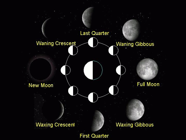 Ms Gatti s Science Blog Lunar Cycle