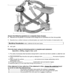 Name Date Class The Rock Cycle Review Worksheet Answer The