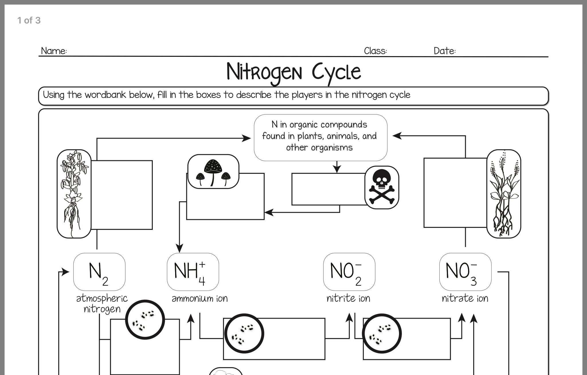 Nitrogen Cycle Diagram Worksheet Answer Key Kidsworksheetfun