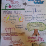 Nitrogen Cycle Passport Angelica Sanabria