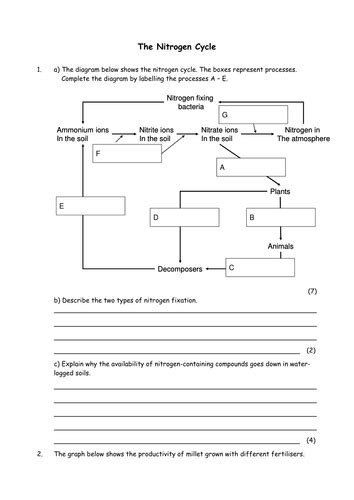 Nitrogen Cycle Worksheet Answer Key Nitrogen Cycle Diagram Worksheet 