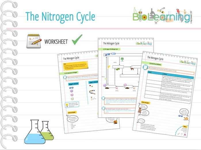 Nitrogen Cycle Worksheet KS4 Teaching Resources