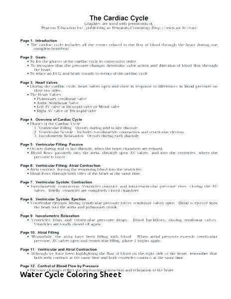 Nutrient Cycles Worksheet Answers 30 Biogeochemical Cycles Webquest 