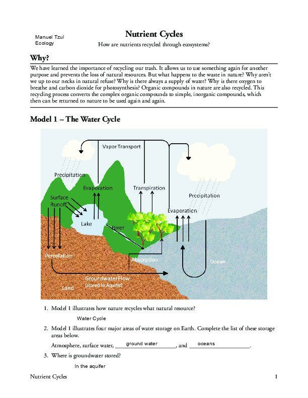 Nutrient Cycles Worksheet Answers Nitrogen Cycle Worksheet Answer Key 