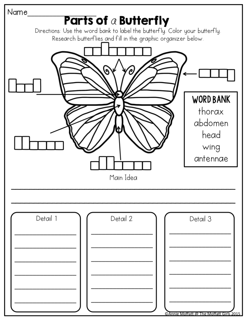 Parts Of A Butterfly TONS Of Fun And Effective Printables For K 2 