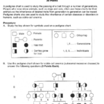 Pedigree Worksheet Ap Biology Mr Croft Somerset Berkley Regional