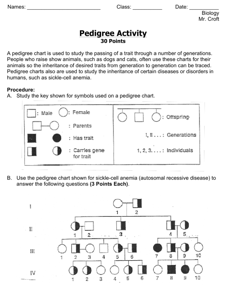 Pedigree Worksheet Ap Biology Mr Croft Somerset Berkley Regional 