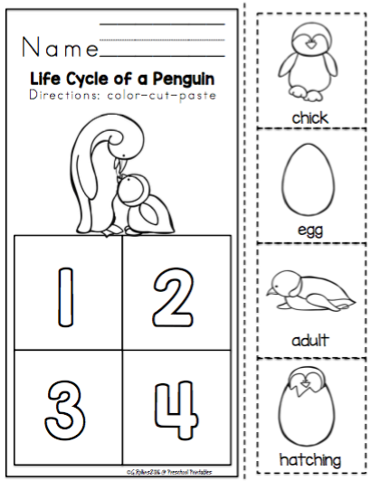 Penguin Life Cycle Printable Preschool Printables