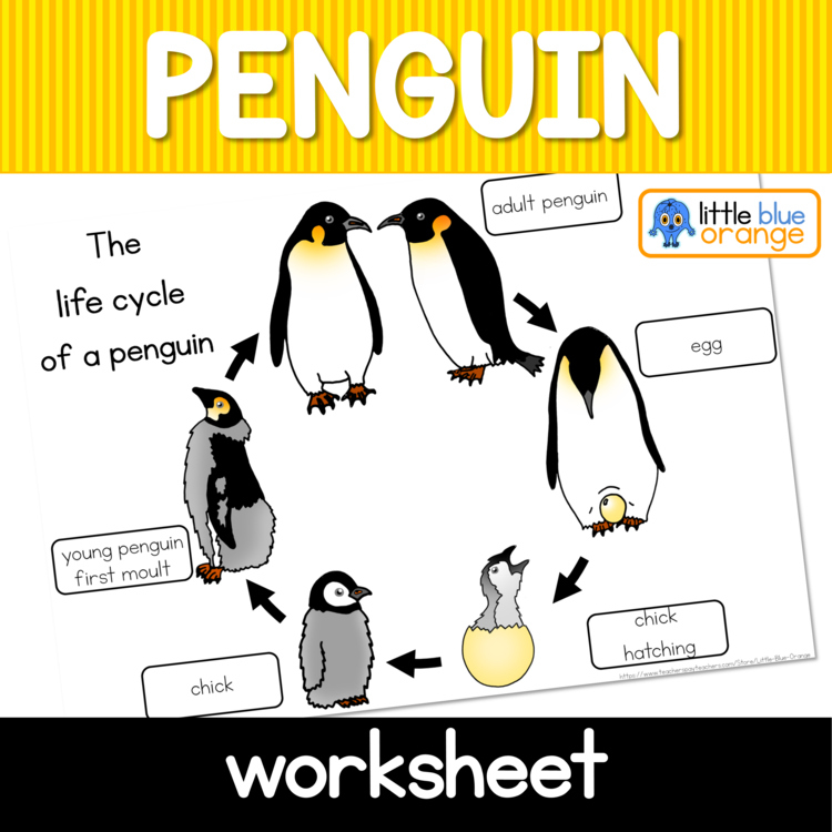 Penguin Life Cycle Worksheet By Little Blue Orange TpT