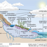 Phosphorus Cycle Worksheet Answers Printable Worksheets And