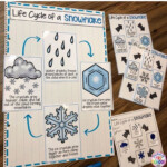 Pin By Samantha Sherie On Kinder Science Social Studies Winter